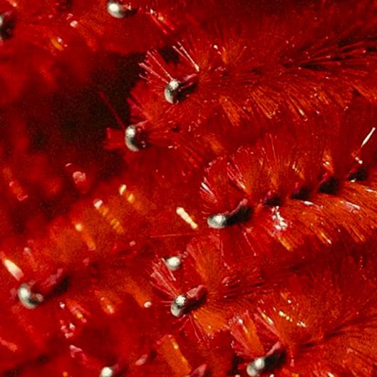 LASH MAINTENANCE PACKAGES